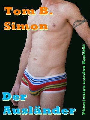 cover image of Der Ausländer